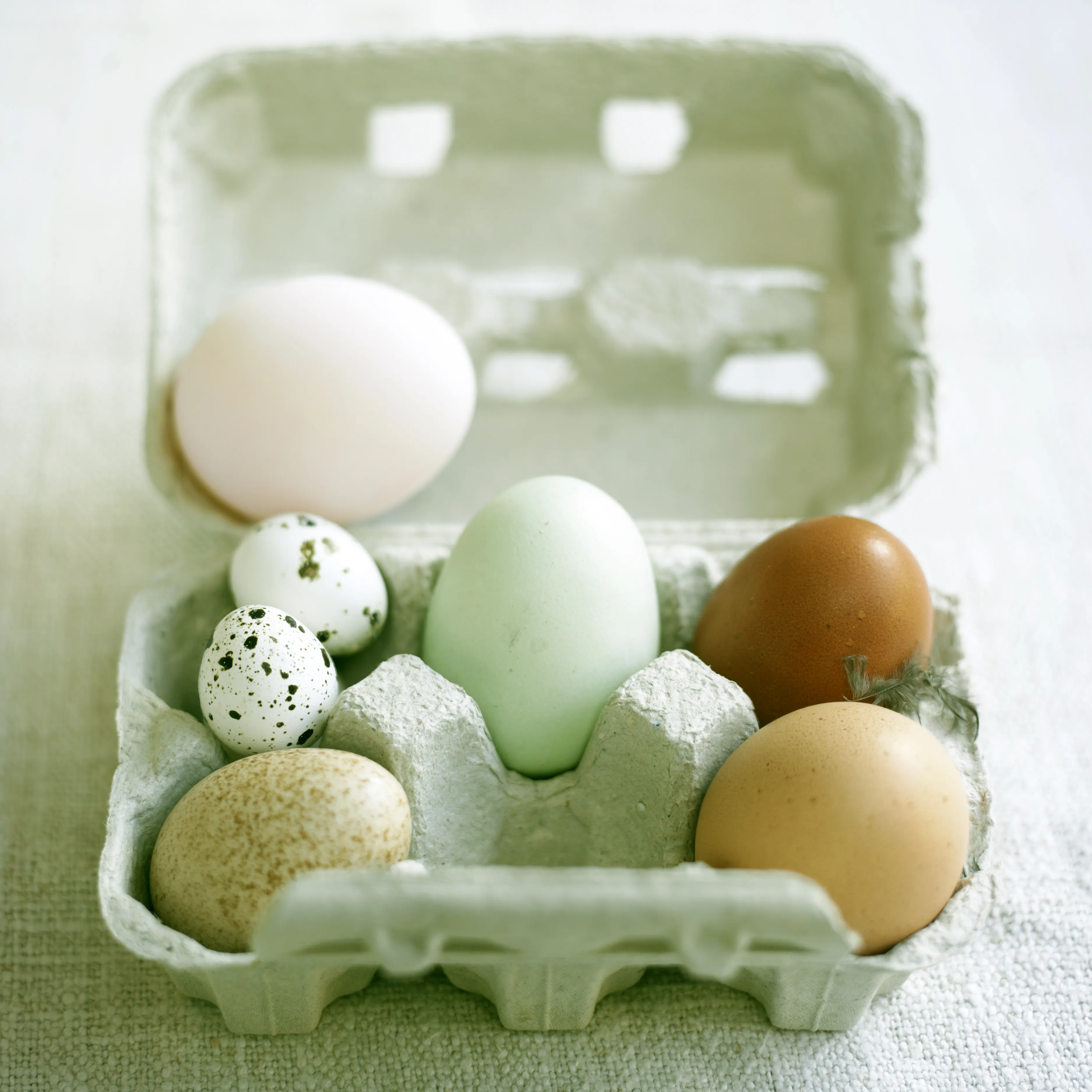 Sunday Times on Eggs